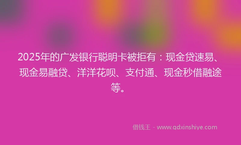 2025年的广发银行聪明卡被拒有：现金贷速易、现金易融贷、洋洋花呗、支付通、现金秒借融途等。