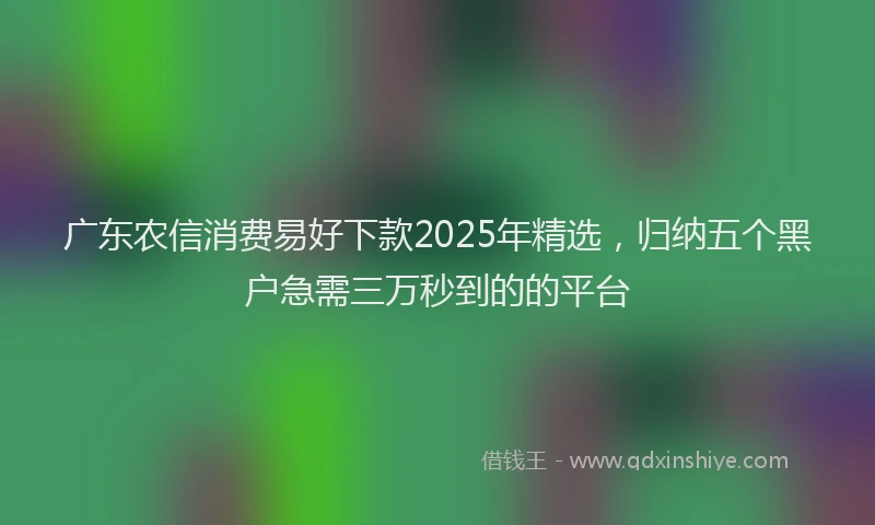 广东农信消费易好下款2025年精选，归纳五个黑户急需三万秒到的的平台