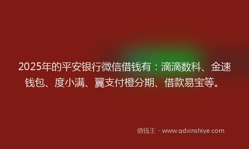 2025年的平安银行微信借钱有：滴滴数科、金速钱包、度小满、翼支付橙分期、借款易宝等。