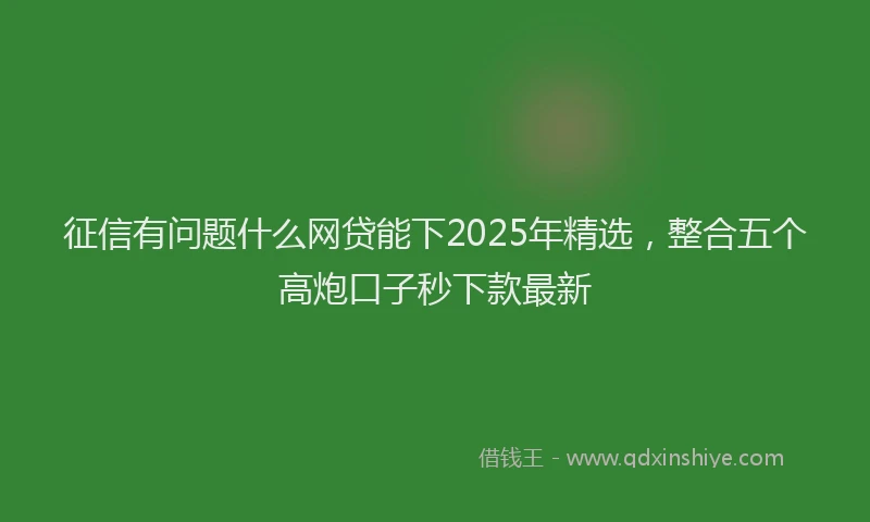征信有问题什么网贷能下2025年精选，整合五个高炮口子秒下款最新