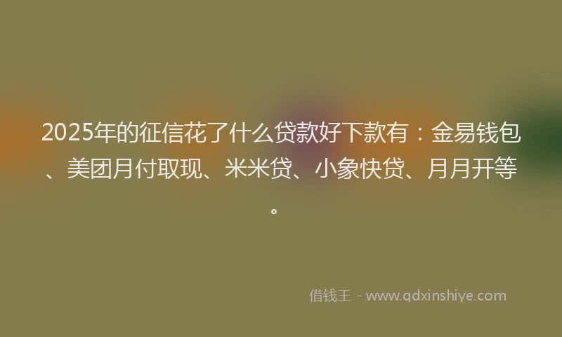 2025年的征信花了什么贷款好下款有：金易钱包、美团月付取现、米米贷、小象快贷、月月开等。