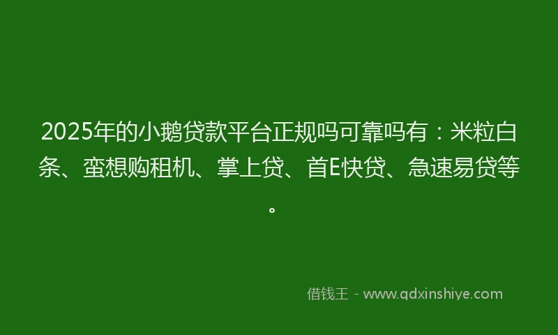 2025年的小鹅贷款平台正规吗可靠吗有：米粒白条、蛮想购租机、掌上贷、首E快贷、急速易贷等。