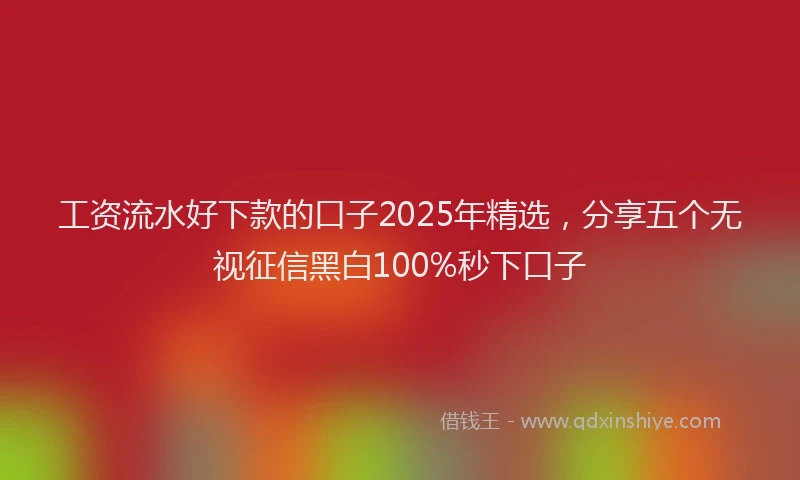 工资流水好下款的口子2025年精选，分享五个无视征信黑白100%秒下口子