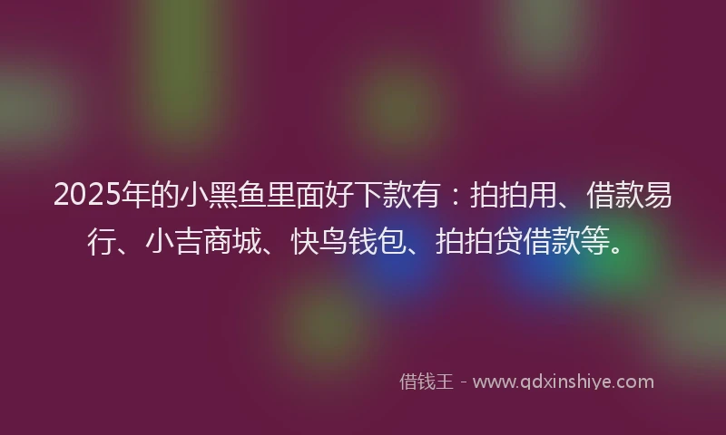 2025年的小黑鱼里面好下款有：拍拍用、借款易行、小吉商城、快鸟钱包、拍拍贷借款等。