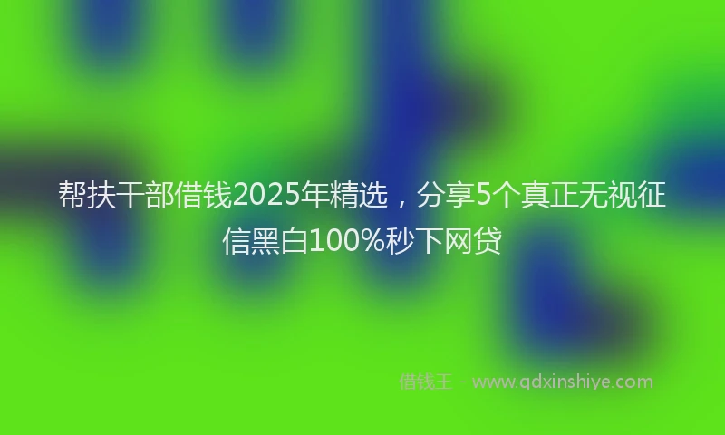 帮扶干部借钱2025年精选，分享5个真正无视征信黑白100%秒下网贷