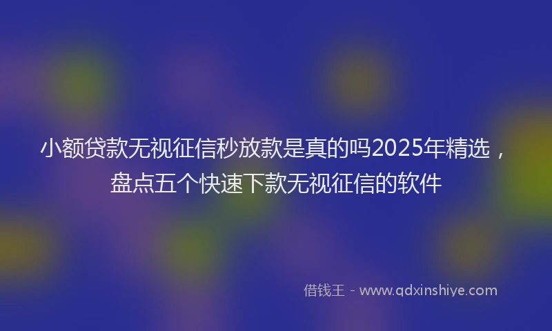 小额贷款无视征信秒放款是真的吗2025年精选，盘点五个快速下款无视征信的软件