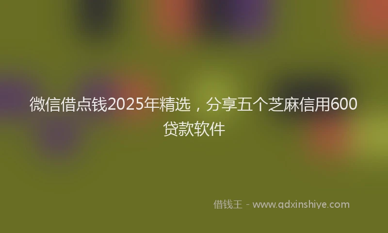 微信借点钱2025年精选，分享五个芝麻信用600贷款软件