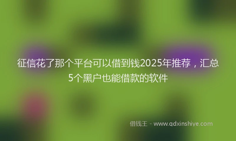 征信花了那个平台可以借到钱2025年推荐,汇总5个黑户也能借款的软件