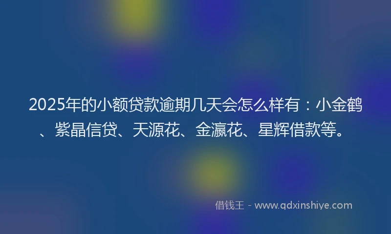 2025年的小额贷款逾期几天会怎么样有：小金鹤、紫晶信贷、天源花、金瀛花、星辉借款等。