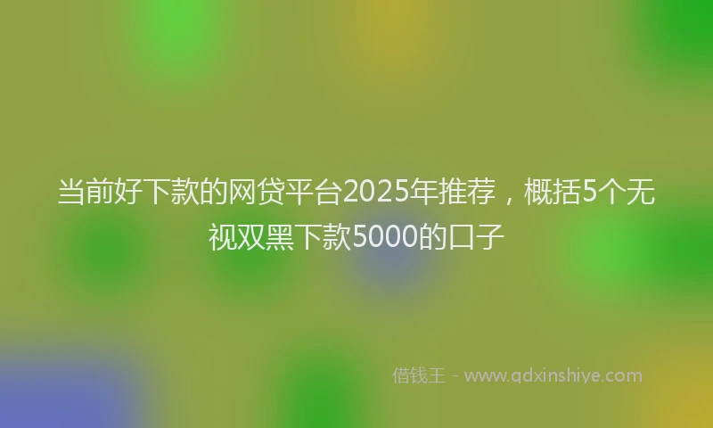 当前好下款的网贷平台2025年推荐，概括5个无视双黑下款5000的口子