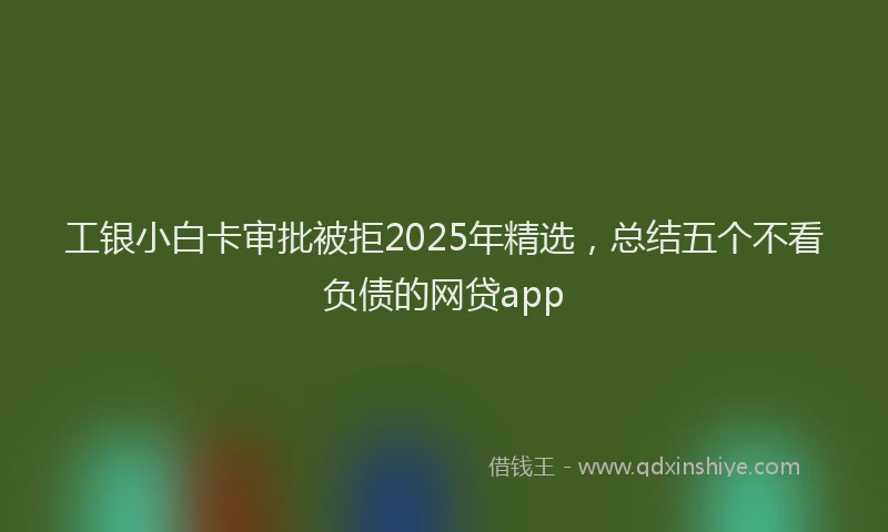 工银小白卡审批被拒2025年精选，总结五个不看负债的网贷app