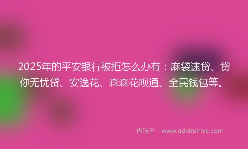 2025年的平安银行被拒怎么办有：麻袋速贷、贷你无忧贷、安逸花、森森花呗通、全民钱包等。