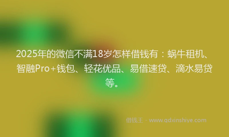 2025年的微信不满18岁怎样借钱有：蜗牛租机、智融Pro+钱包、轻花优品、易借速贷、滴水易贷等。