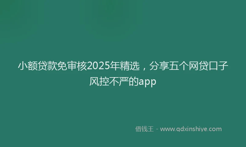 小额贷款免审核2025年精选，分享五个网贷口子风控不严的app