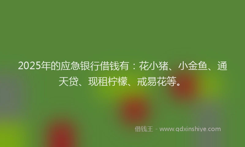 2025年的应急银行借钱有：花小猪、小金鱼、通天贷、现租柠檬、戒易花等。