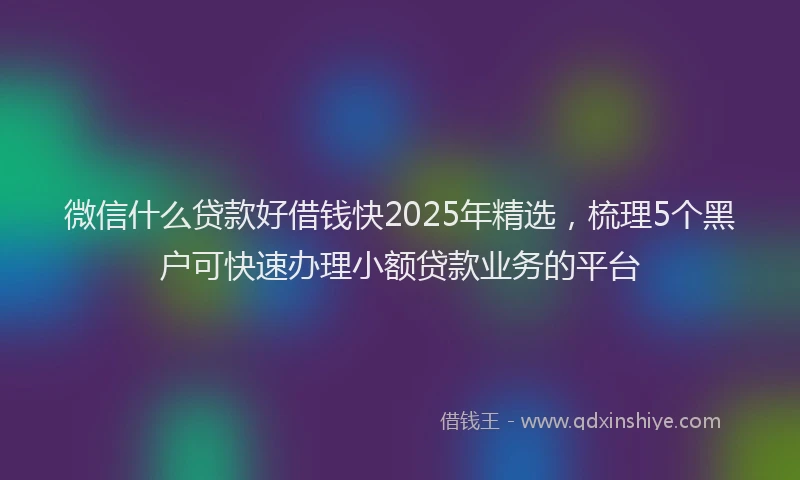 微信什么贷款好借钱快2025年精选，梳理5个黑户可快速办理小额贷款业务的平台