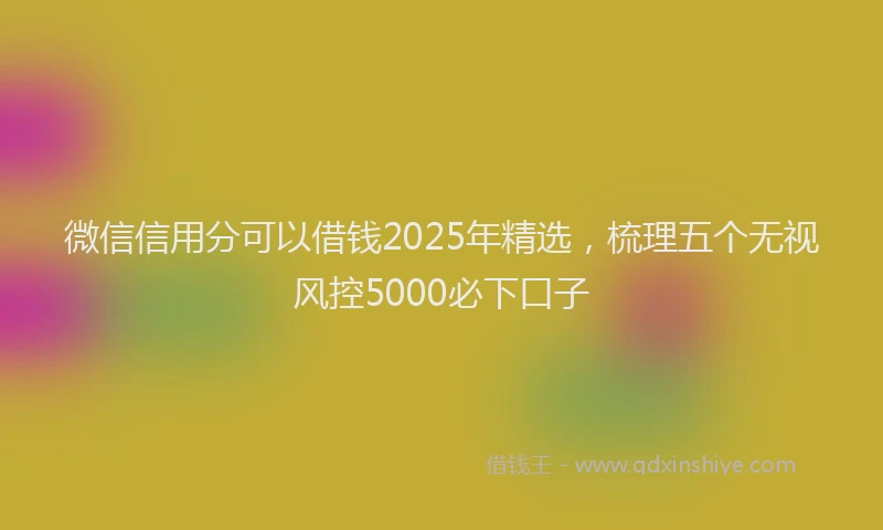 微信信用分可以借钱2025年精选，梳理五个无视风控5000必下口子