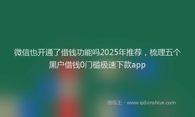 微信也开通了借钱功能吗2025年推荐，梳理五个黑户借钱0门槛极速下款app