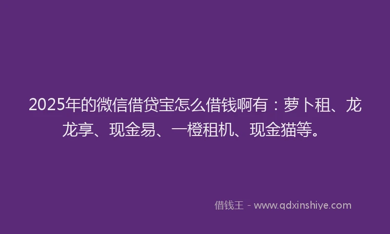 2025年的微信借贷宝怎么借钱啊有：萝卜租、龙龙享、现金易、一橙租机、现金猫等。