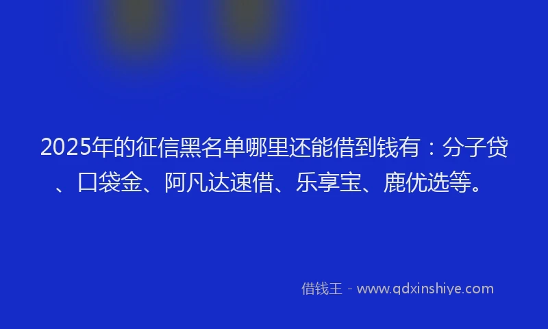 2025年的征信黑名单哪里还能借到钱有：分子贷、口袋金、阿凡达速借、乐享宝、鹿优选等。