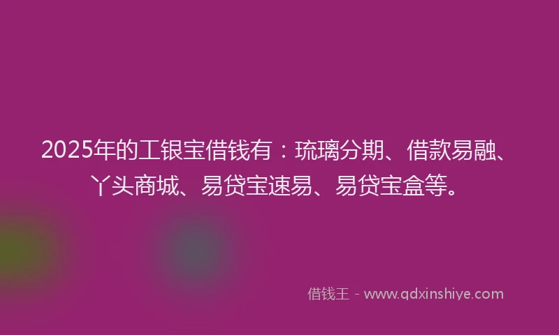 2025年的工银宝借钱有：琉璃分期、借款易融、丫头商城、易贷宝速易、易贷宝盒等。