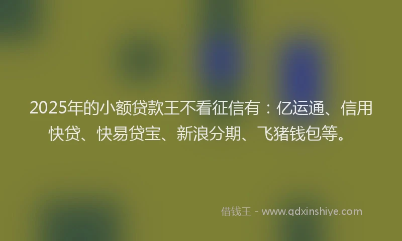 2025年的小额贷款王不看征信有：亿运通、信用快贷、快易贷宝、新浪分期、飞猪钱包等。