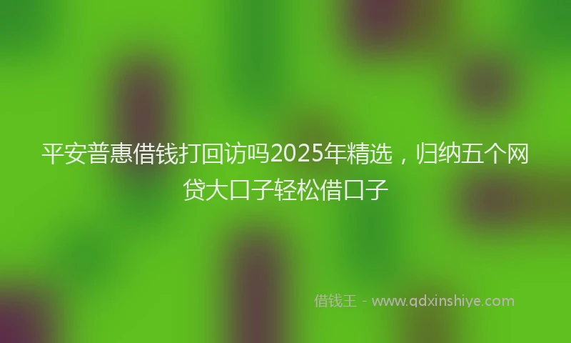 平安普惠借钱打回访吗2025年精选，归纳五个网贷大口子轻松借口子