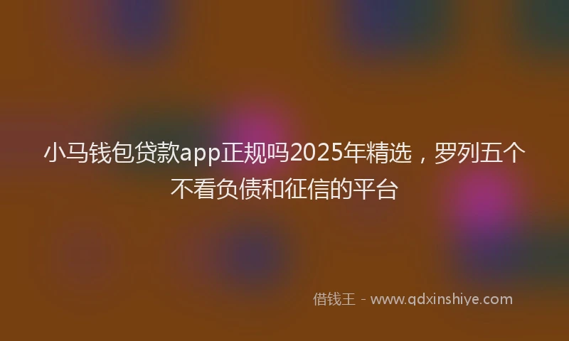 小马钱包贷款app正规吗2025年精选，罗列五个不看负债和征信的平台
