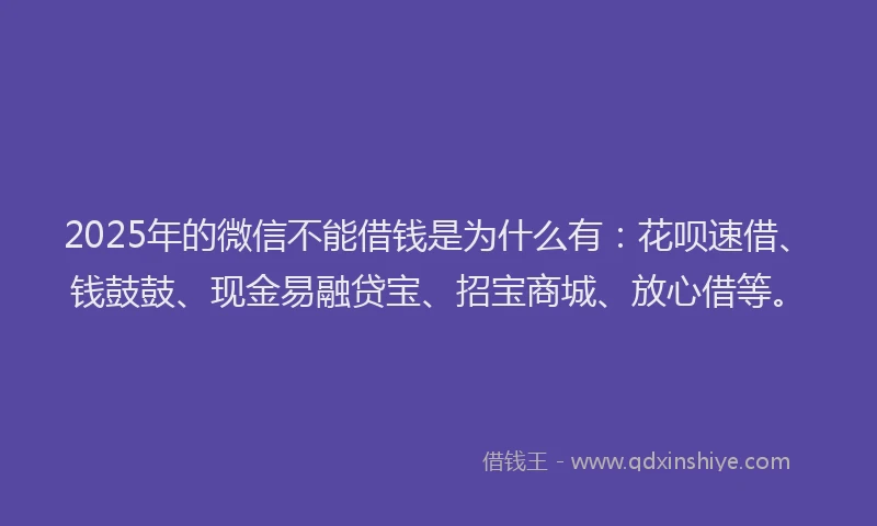 2025年的微信不能借钱是为什么有：花呗速借、钱鼓鼓、现金易融贷宝、招宝商城、放心借等。