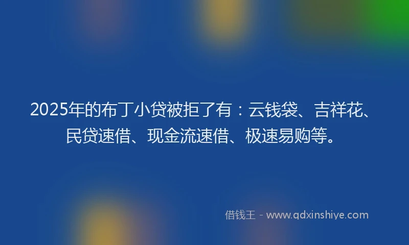 2025年的布丁小贷被拒了有：云钱袋、吉祥花、民贷速借、现金流速借、极速易购等。