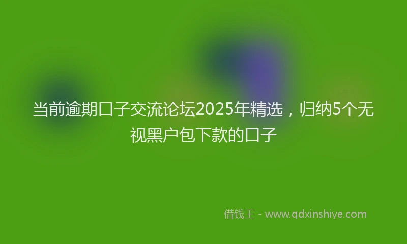 当前逾期口子交流论坛2025年精选，归纳5个无视黑户包下款的口子