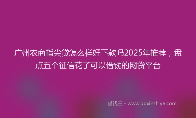 广州农商指尖贷怎么样好下款吗2025年推荐，盘点五个征信花了可以借钱的网贷平台