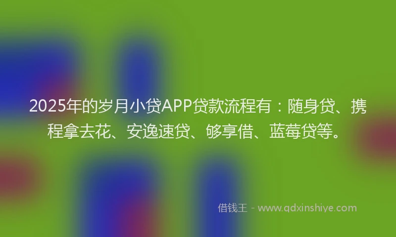 2025年的岁月小贷APP贷款流程有：随身贷、携程拿去花、安逸速贷、够享借、蓝莓贷等。