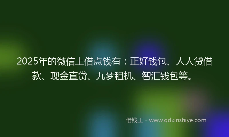 2025年的微信上借点钱有：正好钱包、人人贷借款、现金直贷、九梦租机、智汇钱包等。