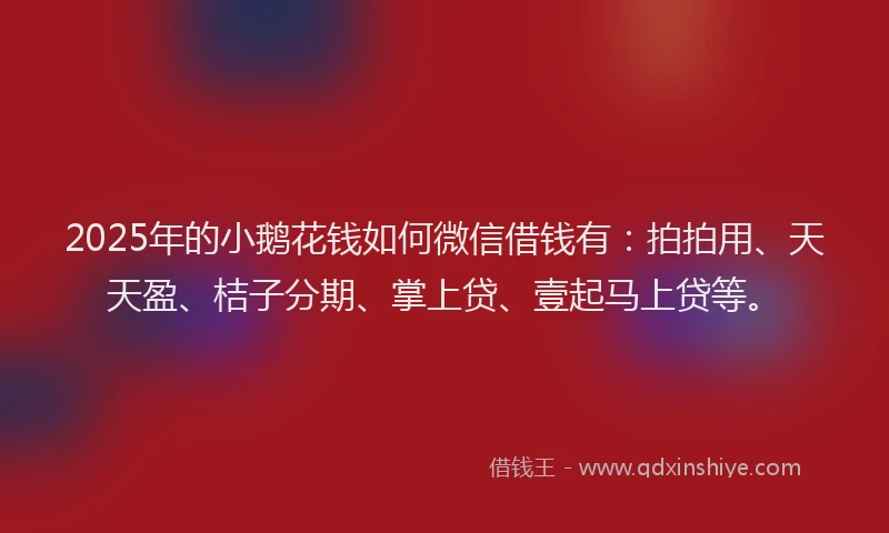 2025年的小鹅花钱如何微信借钱有：拍拍用、天天盈、桔子分期、掌上贷、壹起马上贷等。