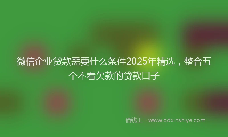 微信企业贷款需要什么条件2025年精选，整合五个不看欠款的贷款口子