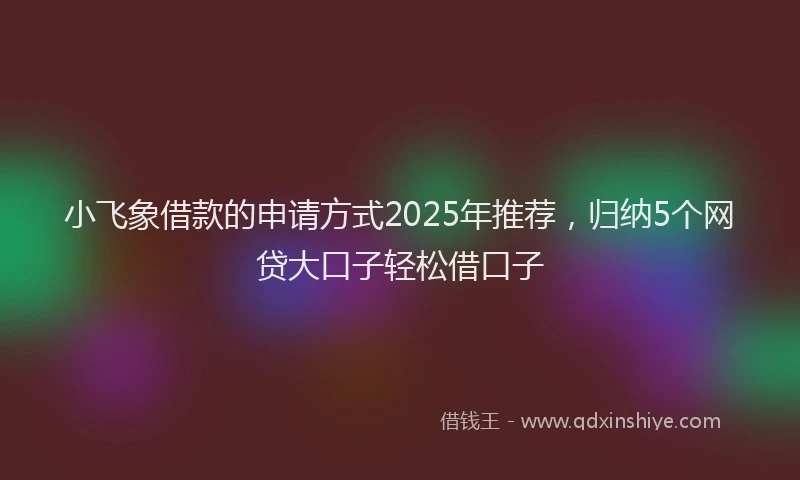 小飞象借款的申请方式2025年推荐，归纳5个网贷大口子轻松借口子