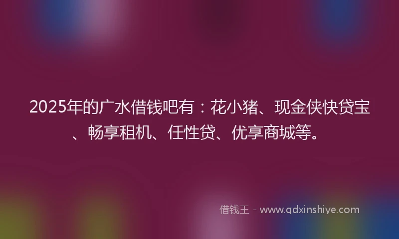2025年的广水借钱吧有：花小猪、现金侠快贷宝、畅享租机、任性贷、优享商城等。