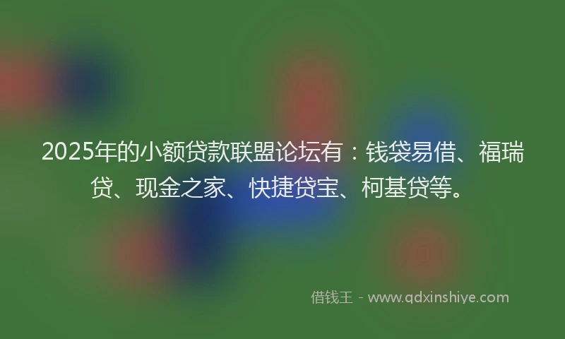 2025年的小额贷款联盟论坛有：钱袋易借、福瑞贷、现金之家、快捷贷宝、柯基贷等。