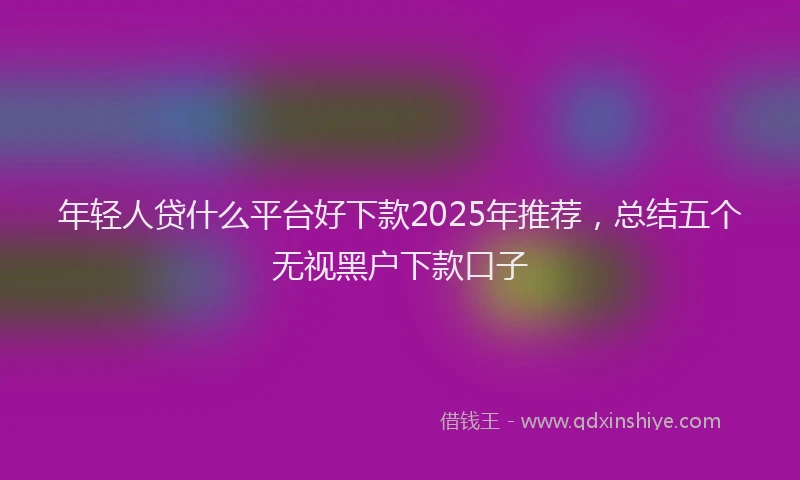 年轻人贷什么平台好下款2025年推荐，总结五个无视黑户下款口子