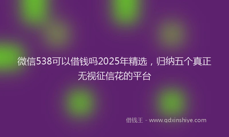 微信538可以借钱吗2025年精选，归纳五个真正无视征信花的平台