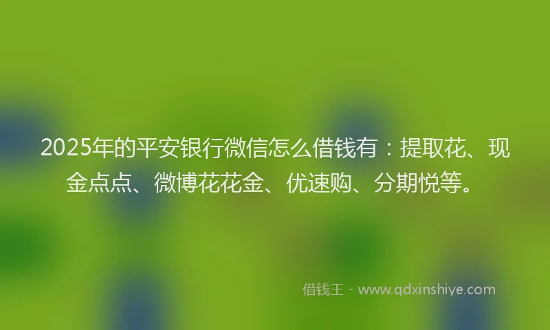 2025年的平安银行微信怎么借钱有：提取花、现金点点、微博花花金、优速购、分期悦等。