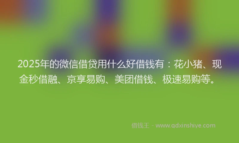 2025年的微信借贷用什么好借钱有：花小猪、现金秒借融、京享易购、美团借钱、极速易购等。