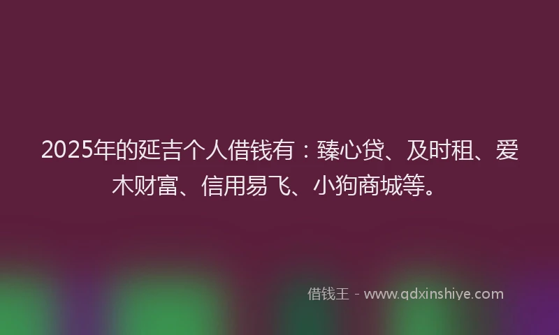 2025年的延吉个人借钱有：臻心贷、及时租、爱木财富、信用易飞、小狗商城等。