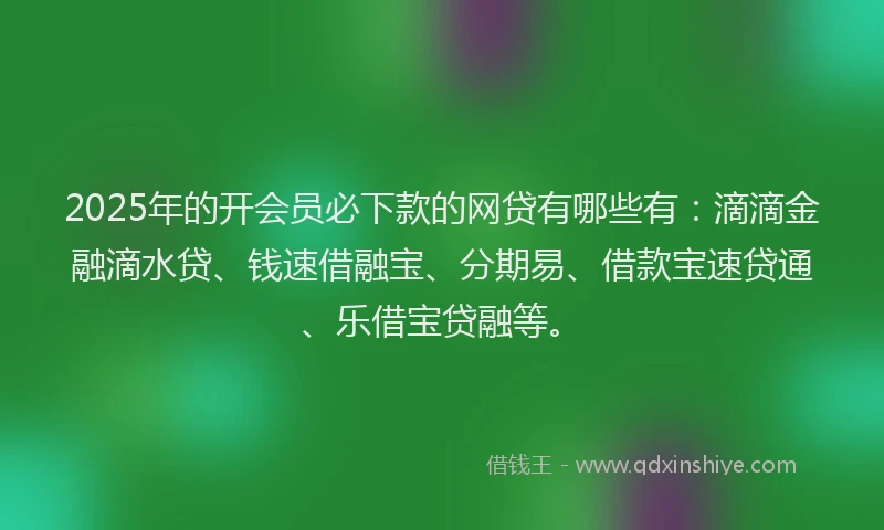 2025年的开会员必下款的网贷有哪些有：滴滴金融滴水贷、钱速借融宝、分期易、借款宝速贷通、乐借宝贷融等。