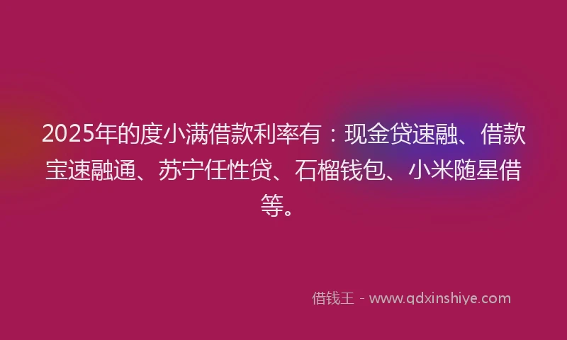 2025年的度小满借款利率有：现金贷速融、借款宝速融通、苏宁任性贷、石榴钱包、小米随星借等。