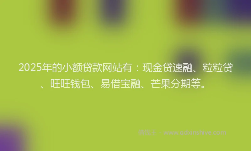 2025年的小额贷款网站有：现金贷速融、粒粒贷、旺旺钱包、易借宝融、芒果分期等。