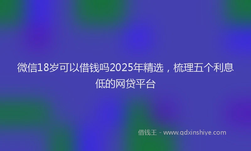 微信18岁可以借钱吗2025年精选，梳理五个利息低的网贷平台