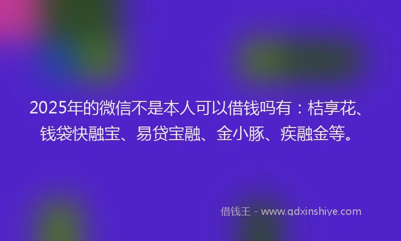 2025年的微信不是本人可以借钱吗有：桔享花、钱袋快融宝、易贷宝融、金小豚、疾融金等。