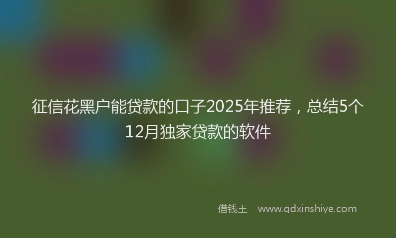 征信花黑户能贷款的口子2025年推荐，总结5个12月独家贷款的软件